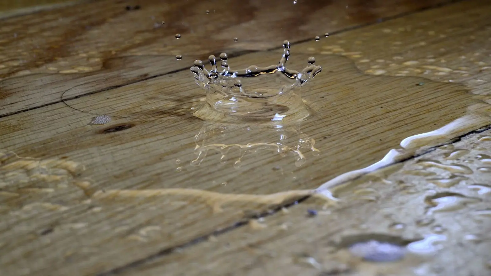 Close view of water pooling in the seams of wood plank flooring
