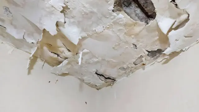 Ceiling corner with bubbling, peeling paint from a leak above